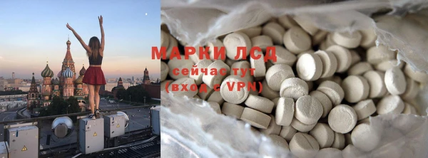 PSILOCYBIN Алзамай