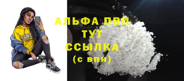 PSILOCYBIN Алзамай
