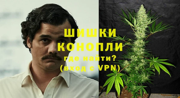PSILOCYBIN Алзамай