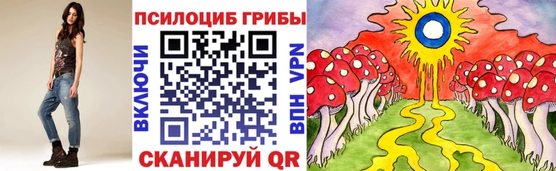 Псилоцибиновые грибы Psilocybe где продают Андреаполь