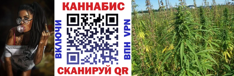 Бошки Шишки LSD WEED  Андреаполь 